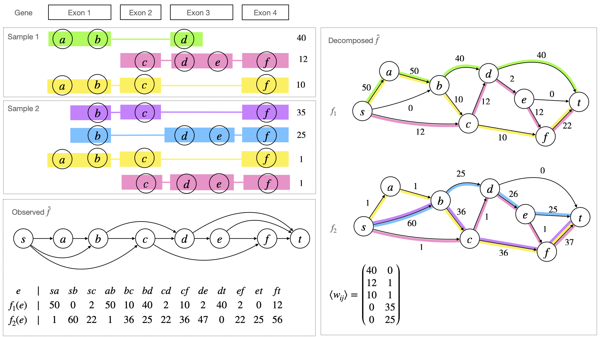 FindViralStrains project image